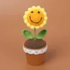 Girasol sonriente