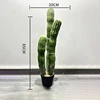 85cm