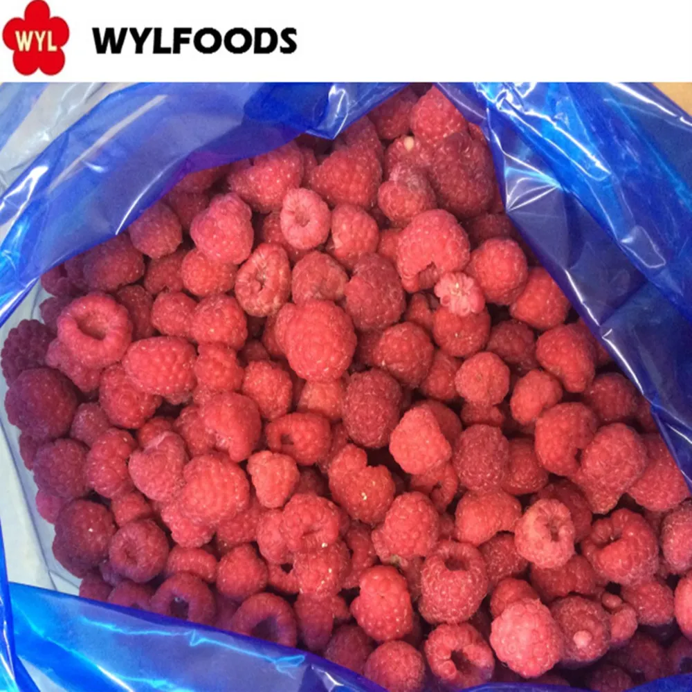Best Price of Frozen Raspberry Whole for in Bulk Wholesales