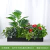 Abanico de flor de durazno [Adecuado para cajas de flores de 70 cm]