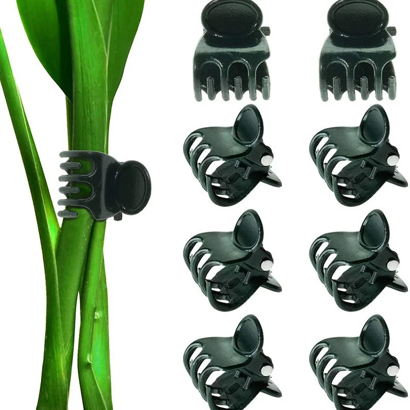 Garden plants with vegetable greenhouses fixed clip phalaenopsis plastic vine clip plant climbing flowers fixed special details