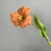 Pu abierto tulipán caramelo