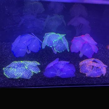 Aquarium Accessories Silicone artificial Coral suction cups Fluorescent effect aquatic plants decorate the aquarium -6 colors