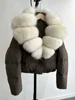 Marrone Beige