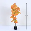 Yellow Ficus microcarpa, 120cm