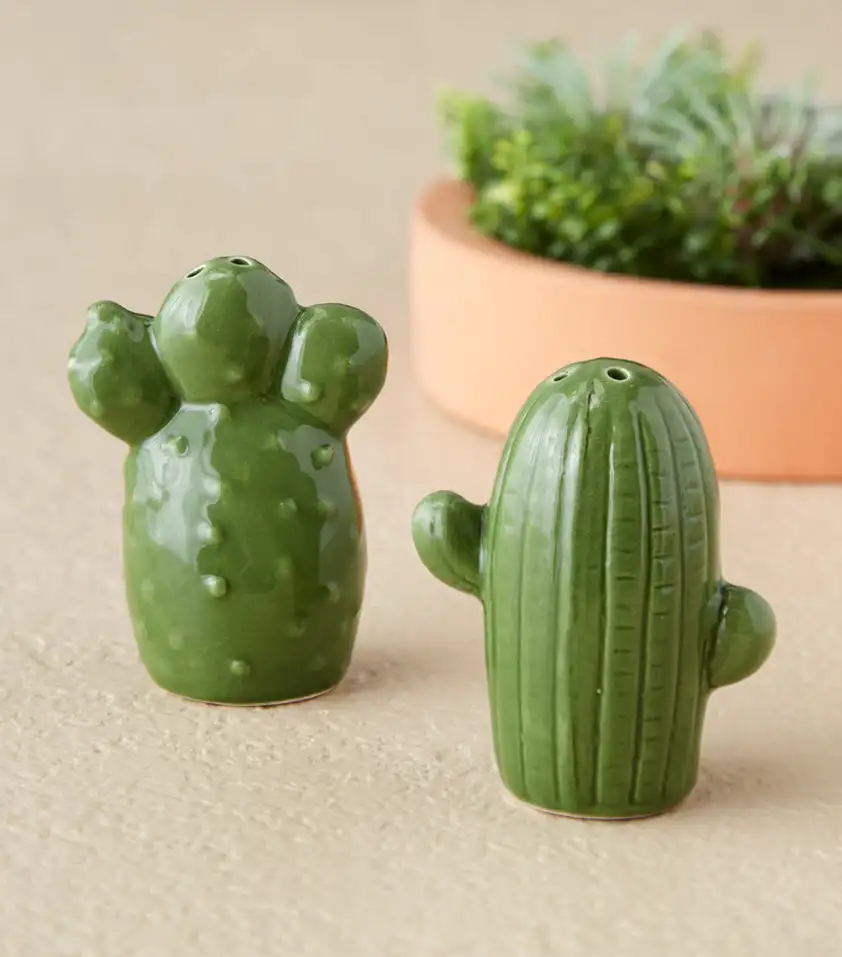 Creative Design Kitchen Set Cactus Ceramic Salt & Pepper Shakers
