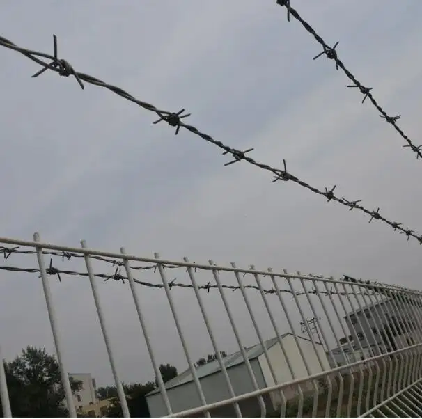 Robust Barbed Wire Roll Impenetrable Security Fencing for Garden Farm