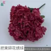 ช่อดอกไฮเดรนเยียสีแดงฤดูใบไม้ร่วง