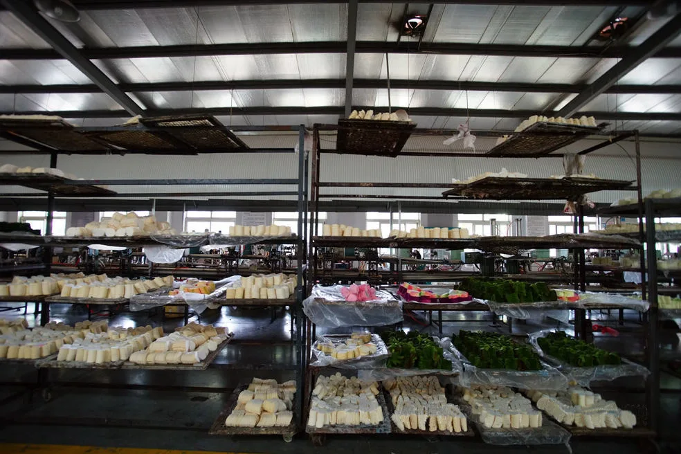 Hebei Nuanpin Trading Co., Ltd. 2