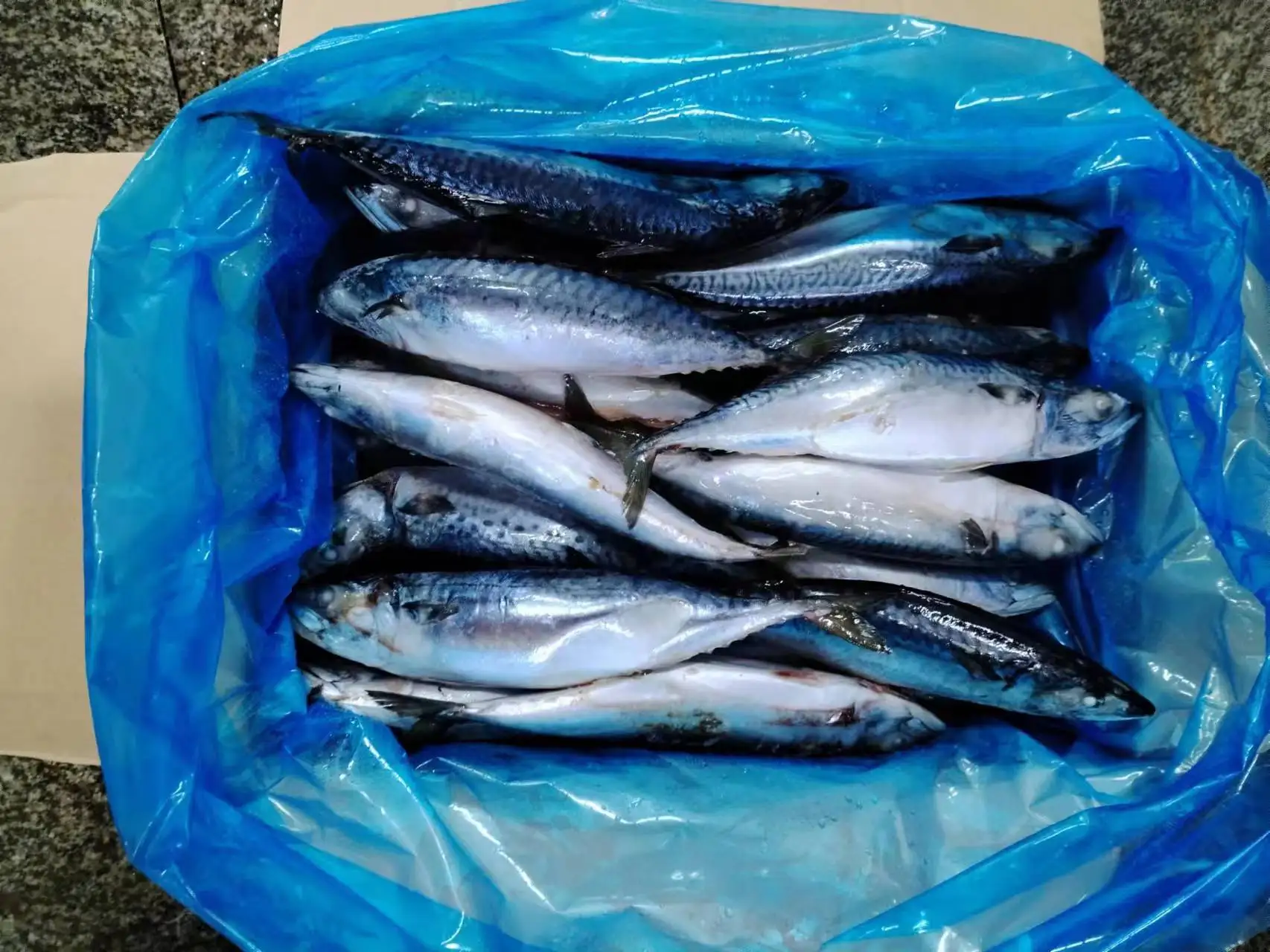 Frozen Pacific Mackerel Whole Round Manufacturer High Quality Scomber Japonicus Pacific Mackerel Fish 300-400g
