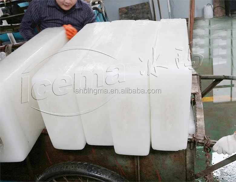 Bitzer Compressor Automatic 1 Ton Ice Block Making Machine Sale Philippines Manufacturing Plants 20-30kg Ice Storage Capacity