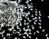 White MQ--2*4mm