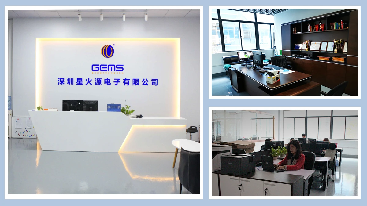 Shenzhen GEMS NAVIGATION Electronics Co., Ltd. 1