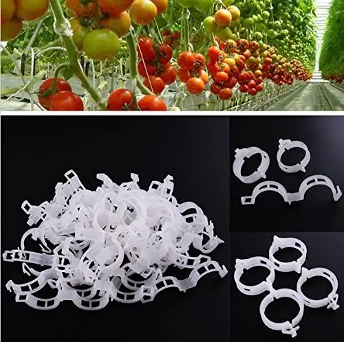 Clip di supporto per piante - Clip per pomodoro per traliccio di corde