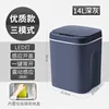 8621B Bestselling Dark Gray - Three-Mode 14L