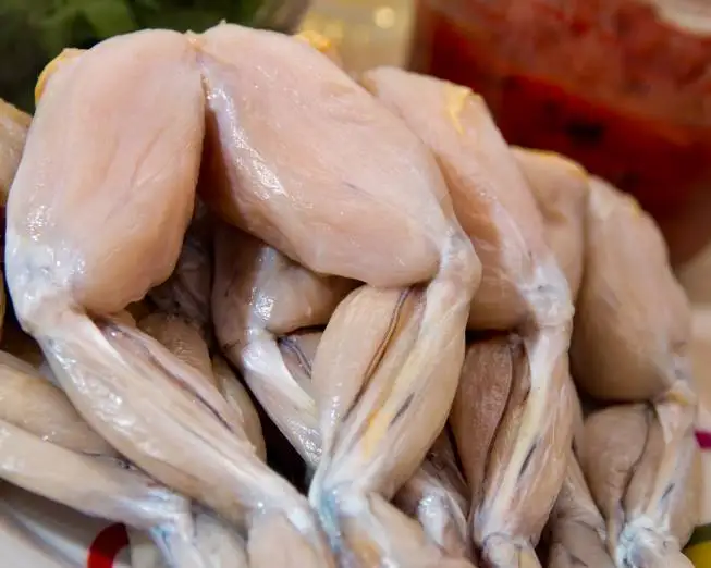 青蛙腿可批量出售 - buy frog legs available in bulk for sale