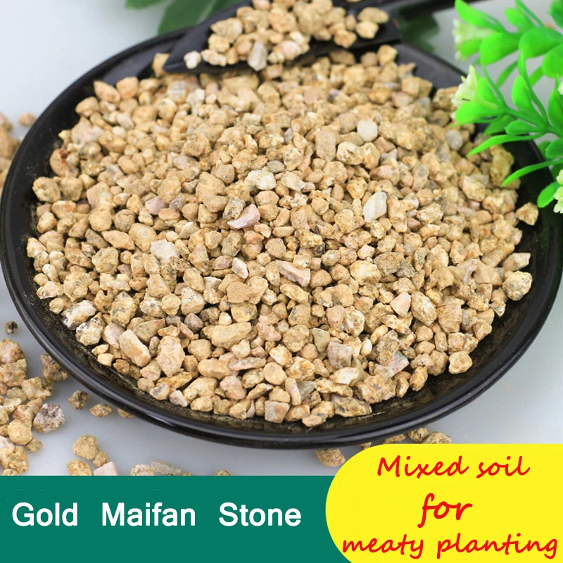 Китай производит фабричную цену для получения гранул Золотой мягкой пшеницы гуагуа для посадки растений и очистки воды