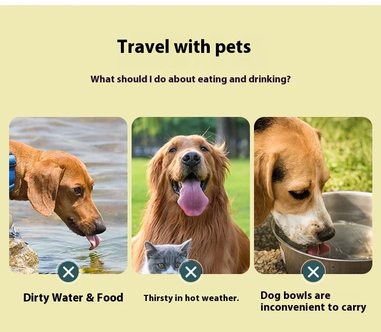 Pet Carrying Outdoor Portable Dog Food & Water Double Folding Silicone Bowl-Lightweight Durable Food Grade Material factory