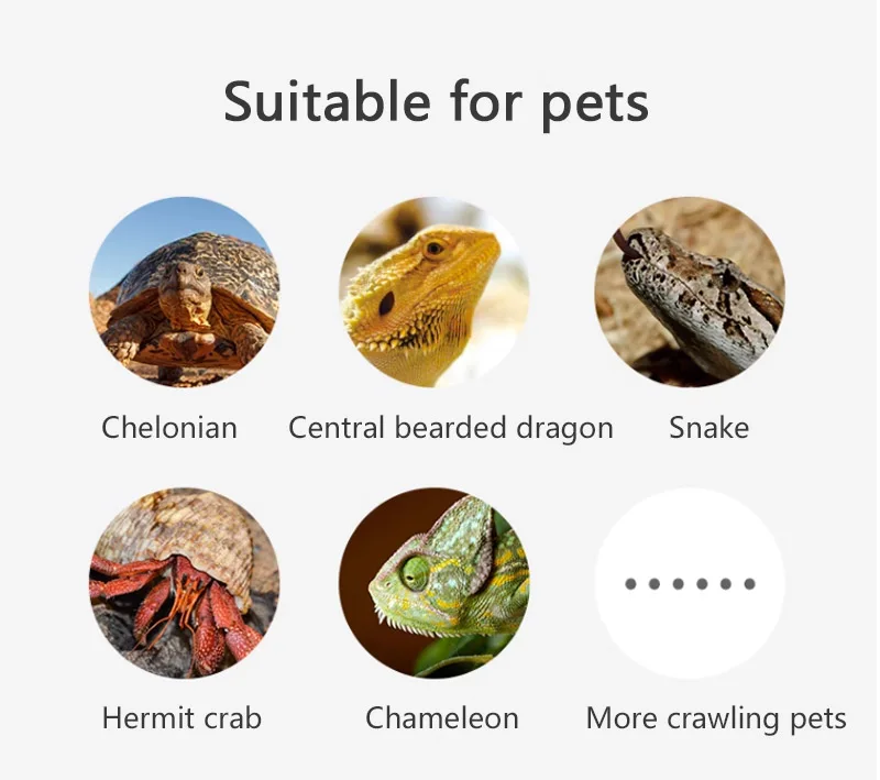 Инфракрасная лампа с нагревом лампа-нагреватель для курицы свиньи собаки черепахи и других животных