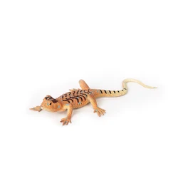 Stress Soft  Lifelike Lizards Rubber Lizard Articulating Toy To Kids And Adults