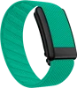 Verde planta