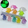 Glow-in-the-dark roast duck with ten colors