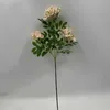 Petit rose