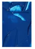 Phthalocyanine blue
