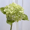 สีเขียวอ่อน