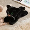 Gato negro