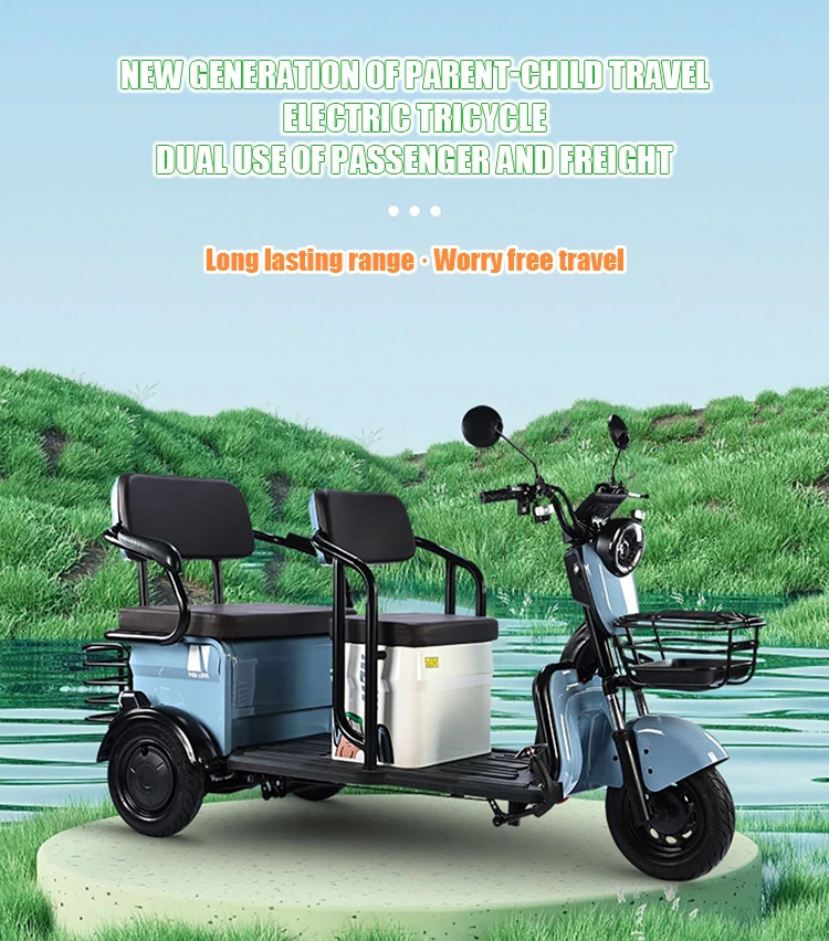 Three Wheeled Electric Tricycle Elderly Tricycle Rickshaw 60v Brushless Electric Tricycle Buy