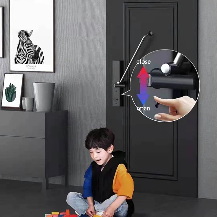 Bilixo Wifi Tuya App Fingerprint Password House Card Digital Dool Locks Screen High Security Smart Home Door Lock with Camera