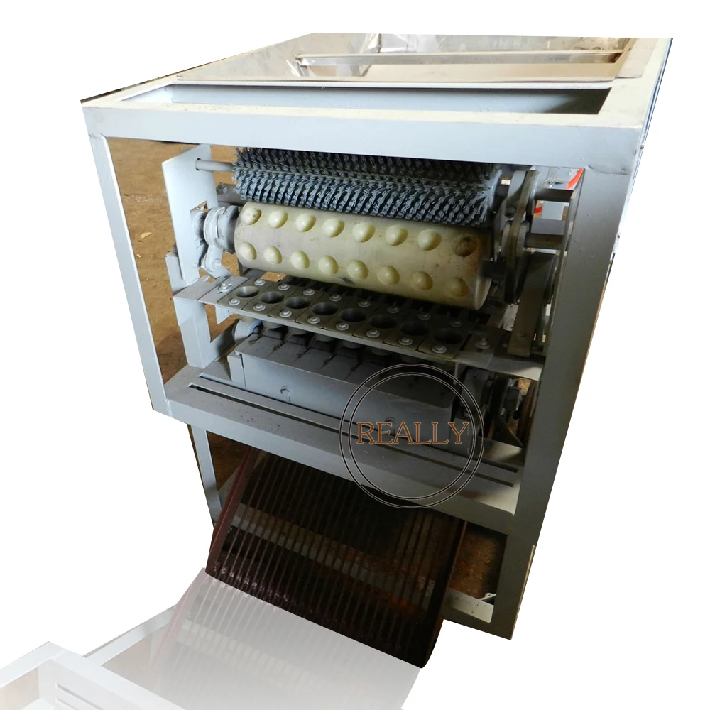 Automatic Hawaiian Fruit Nut Cracker Macadamia Nut Sheller Opening