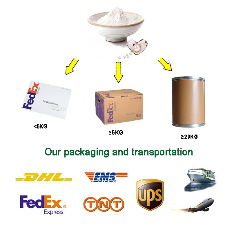 China Mainland Yogurt Starter Culture Powder for  Cheese