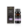 10ML คลาสปี้ เสจ