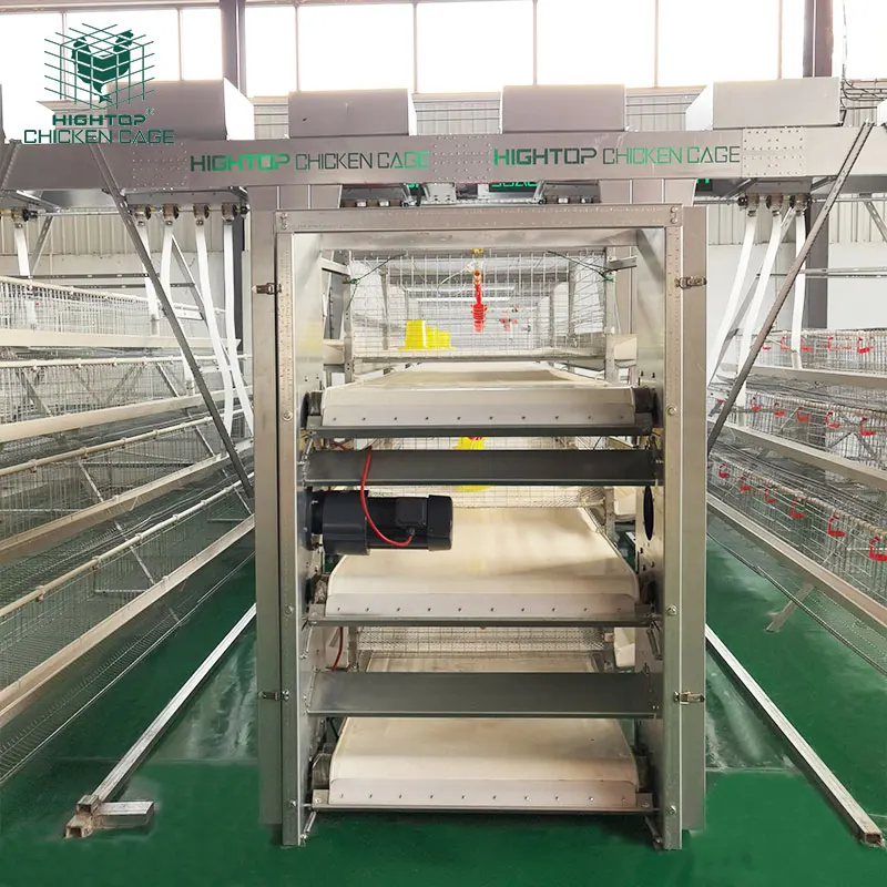 Fully Automatic Battery 3 Tiers 4 Tiers H Type Poultry Farming Broiler Chicken Cage for Broiler Coop