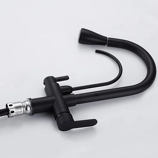 Water Filter Faucet Pull Out  3 Ways Filter Spray 1 Hole 2 Handle Kitchen Faucet Tap Mixer Matte Black