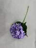 Morado claro