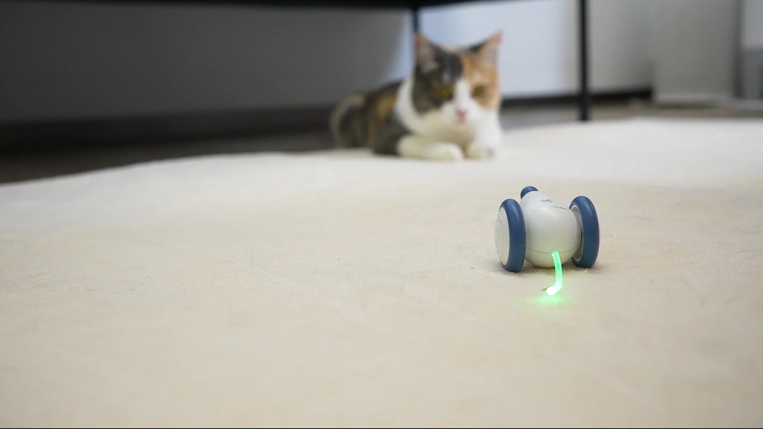 Dropship Cheerble Smart Interactive Pet Toys Bionic Rat Cats Simulate