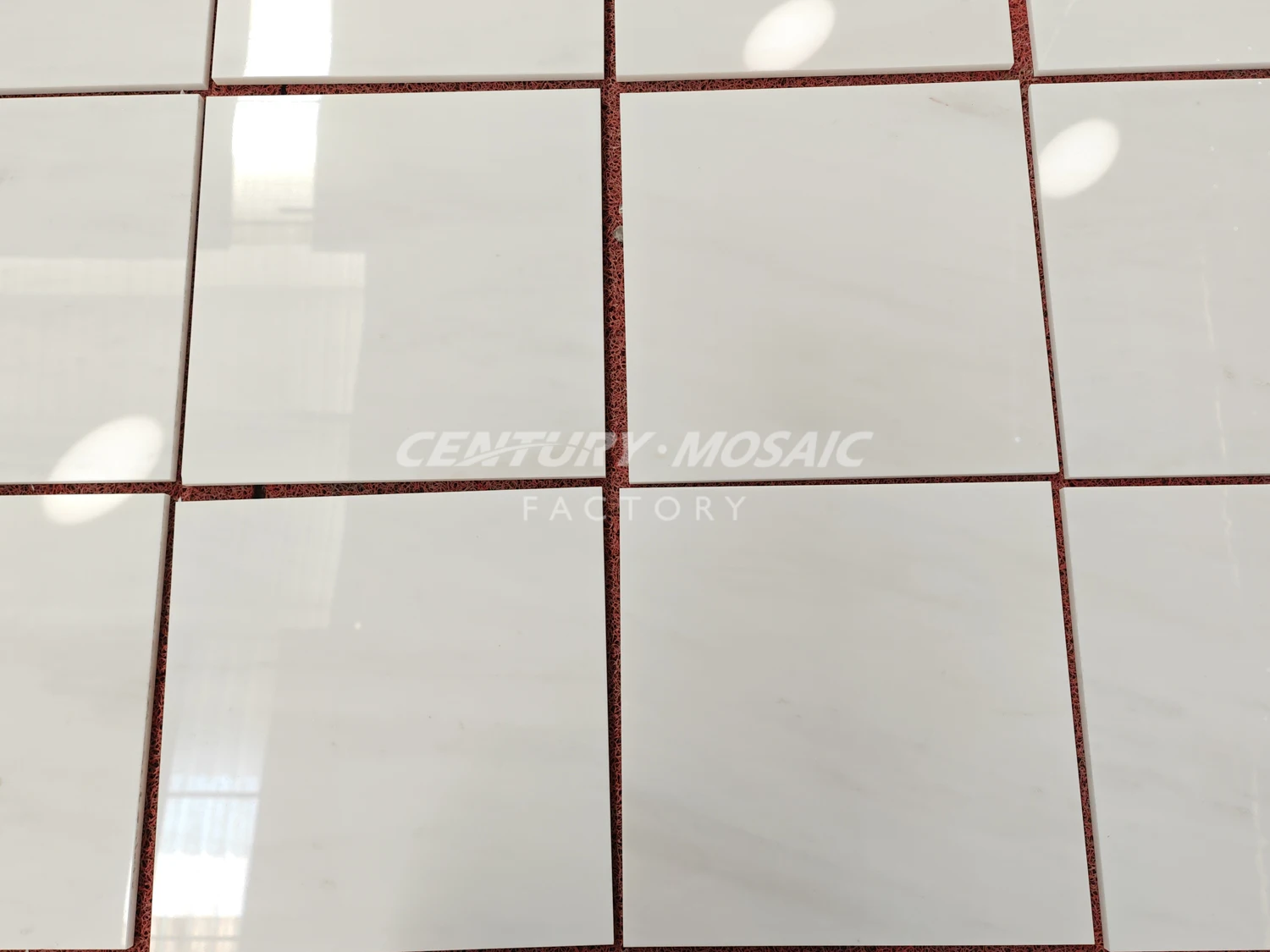 Centurymosaic Polished White Stone Wholesale Marble Tiles For