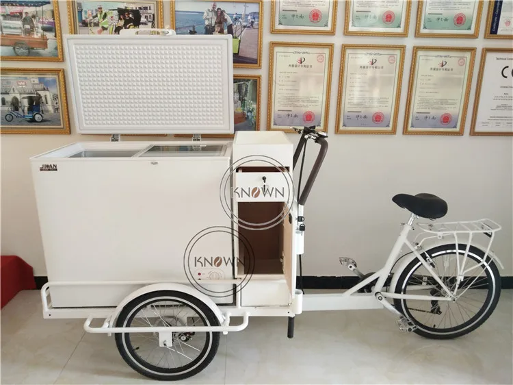 OEM Electric Ice Cream Tricycle with Battery Mobile Electric Cargo 3 Wheels Bike Trike for Sale