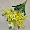 Giallo
