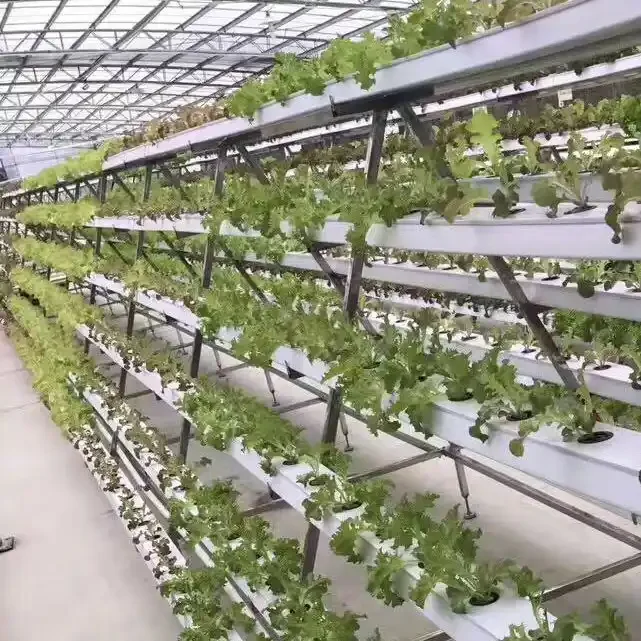 High Quality Vertical Hydroponic Nft System Nft Hydroponics Pvc Channel for Hydroponic