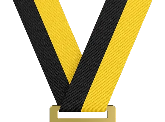 Black / Golden Yellow