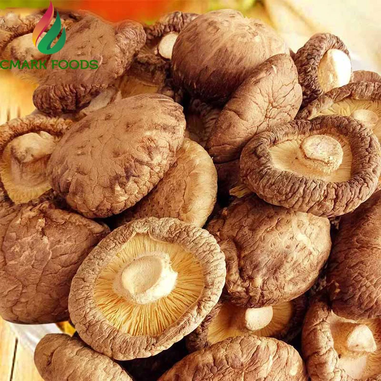 Высушенный гриб шиитаке по лучшей цене