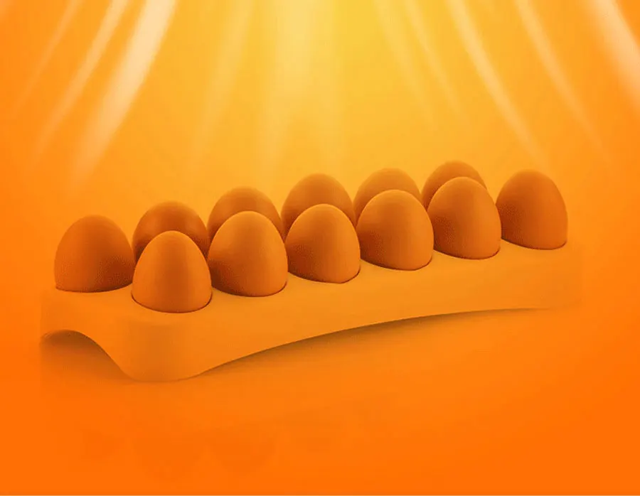 Multi-Function Dual Power LED Light 98% Hatching Rate Small Chicken Egg Incubator Automatic Egg Incubator