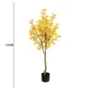 130cm autumn ginkgo tree