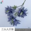 Three-headed Giant Claw Daisy XH Haze Blue
