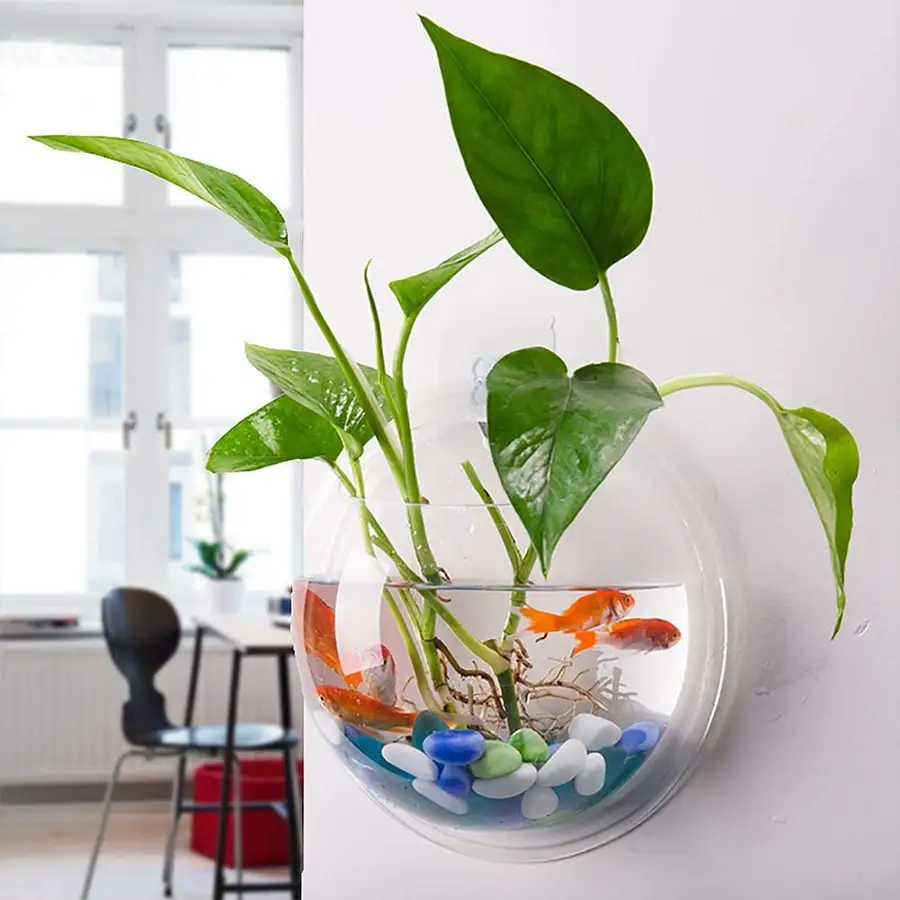 15cm Wallhanging Fish Bowl Clear Acrylic Vase Flower Plant Pot Aquarium Buy Acrylic Fishbowl