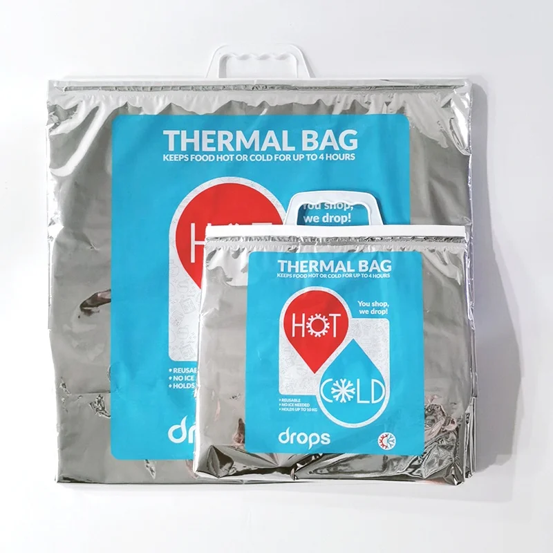 thermal bag dollar tree